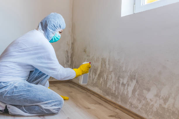 Mold inspector in White Hall performing thermal imaging