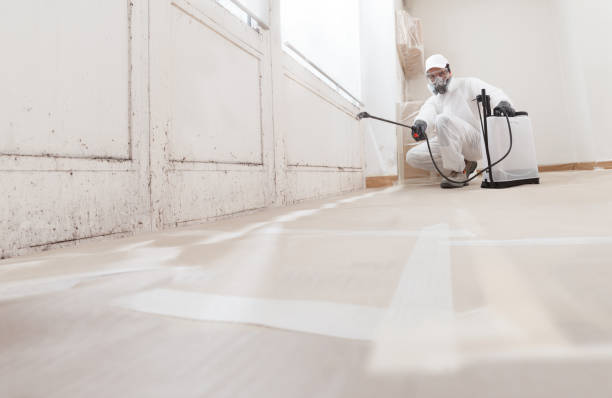 Post-remediation clearance in White Hall
